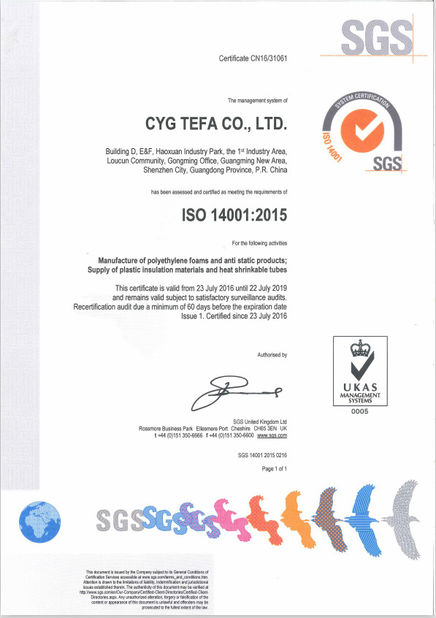 Trung Quốc Cyg Tefa Co., Ltd. Chứng chỉ