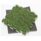 Tấm thảm cỏ nhân tạo Mat cách nhiệt Tấm cao su chống thấm LDPE